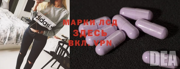 прущие грибы Верея