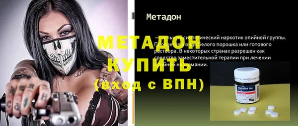 прущие грибы Верея