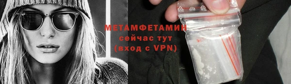 прущие грибы Верея