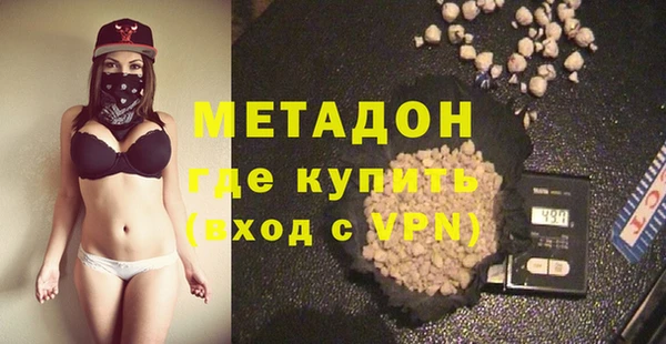 прущие грибы Верея