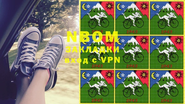 прущие грибы Бородино