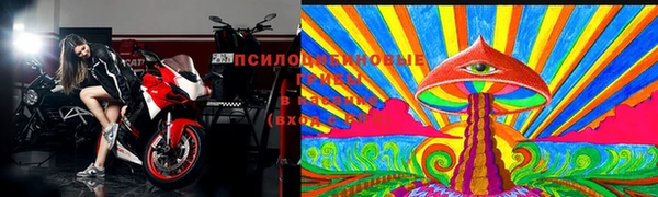 прущие грибы Верея