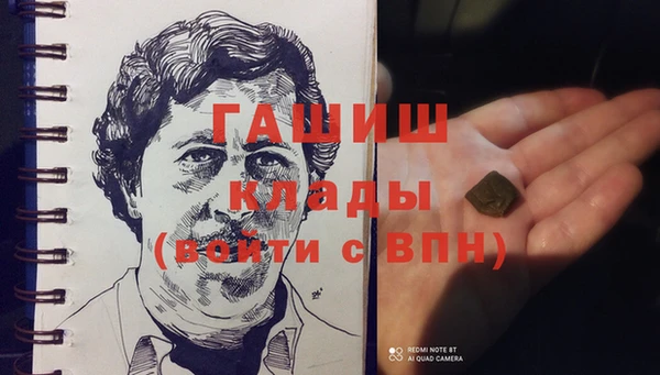 прущие грибы Верея