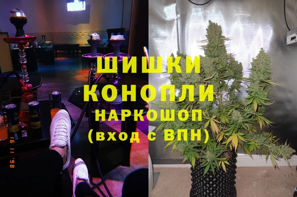 прущие грибы Верея