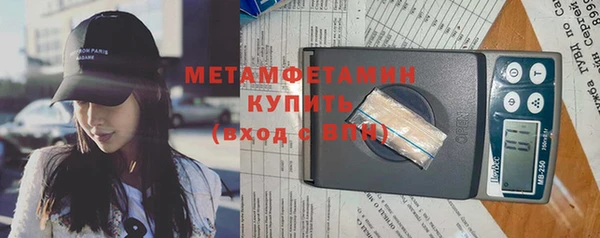 прущие грибы Верея