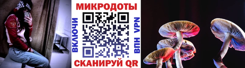 Псилоцибиновые грибы MAGIC MUSHROOMS  Череповец 